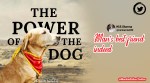 Mumbai police Oscar 2022, Mumbai police power of the dog, Mumbai Police funny tweet, Indian Express