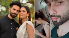 shahid kapoor, mira rajput