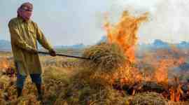 biomass, thermal power plants, NCR thermal power plants, Delhi-NCR, New Delhi, National Capital Region (NCR), air quality, Delhi air quality, stubble burning, Delhi news, Delhi city news, New Delhi, India news, Indian Express News Service, Express News Service, Express News, Indian Express India News