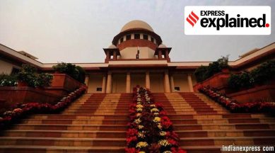 This week, the Government of India submitted a detailed affidavit in the Supreme Court on the issue of who is a minority, and how minorities are defined in the Constitution. (File)
