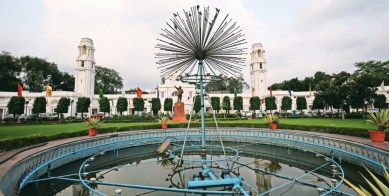 Delhi government, Delhi Vidhan Sabha, Vidhan Sabha, Delhi Assembly, Monkey problem, vidhan sabha monkey issue, Delhi news, Delhi city news, New Delhi, India news, Indian Express News Service, Express News Service, Express News, Indian Express India News