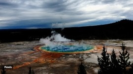 yellowstone national park