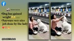 woman feeds curd rice to dog, woman feeds stray dog, West Bengal railway station, Dum Dum Cantonment railway station, dog videos, indian express
