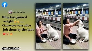 woman feeds curd rice to dog, woman feeds stray dog, West Bengal railway station, Dum Dum Cantonment railway station, dog videos, indian express