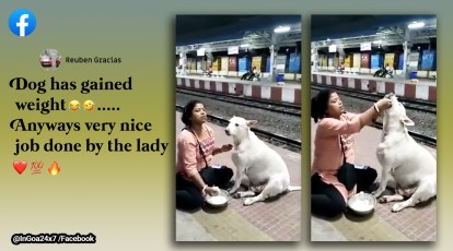 Woman feeds a stray dog in a West Bengal railway station. Watch video |  Trending News,The Indian Express