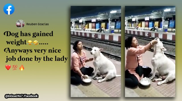 woman feeds curd rice to dog, woman feeds stray dog, West Bengal railway station, Dum Dum Cantonment railway station, dog videos, indian express
