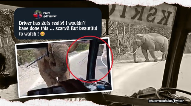 elephant charges towards bus, elephant video, elephant in Munnar, Kerala, elephant attack, indian express