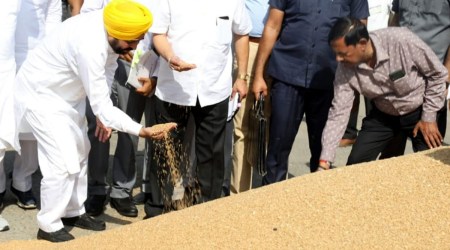 CM Bhagwant Mann during a review of wheat procurement operations at Khanna Mandi, Friday. (Express Photo by Gurmeet Singh)