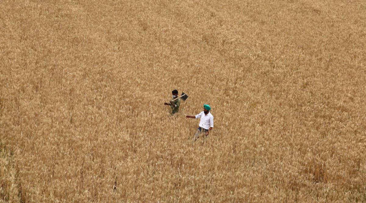 Panel suggests fertiliser subsidy rate based on March prices