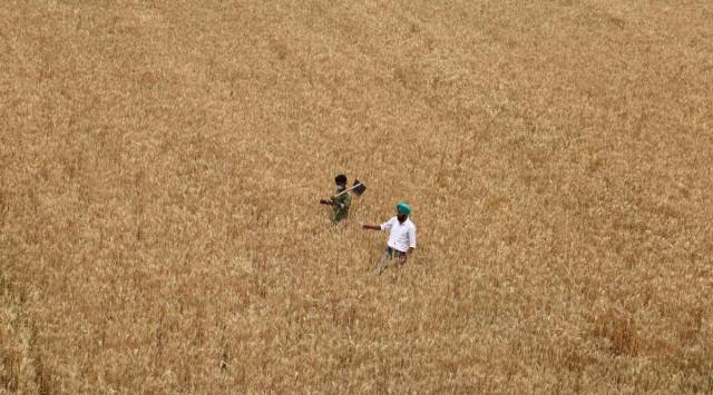 Panel suggests fertiliser subsidy rate based on March prices