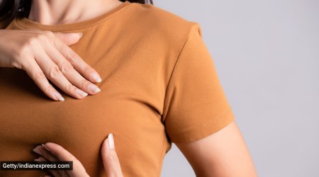 nipples, healthy nipples, what do healthy nipples look like, nipple colour, nipple shape, nipple size, breast cancer awareness, nipple health, indian express news
