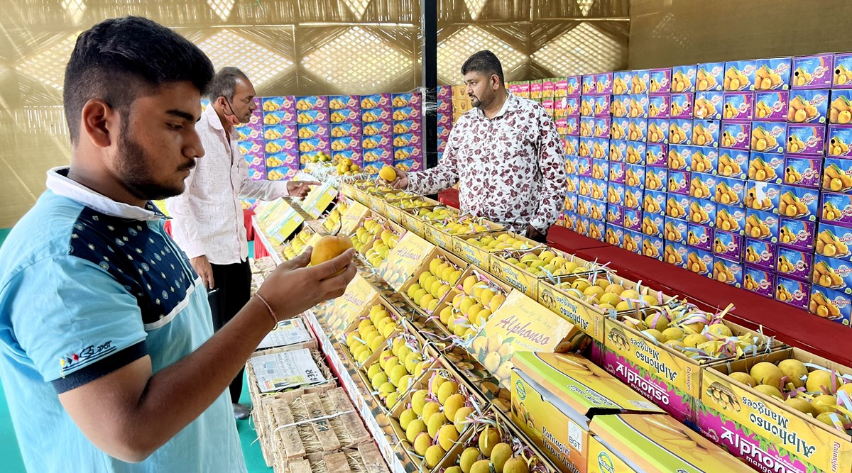 At Mango Market in Rajkot (Chirag Chotaliya)