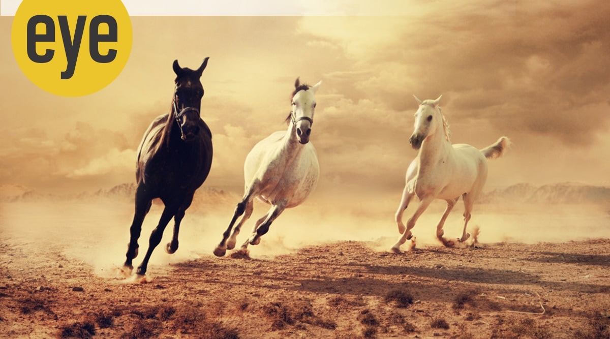 Mother Nature, evolution, birds and animals, wheels, nature's wheels, inventing the wheel, sunday eye, eye 2022, indian express news