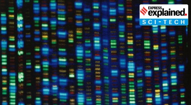 This undated image made available by the National Human Genome Research Institute shows the output from a DNA sequencer. (Via AP)