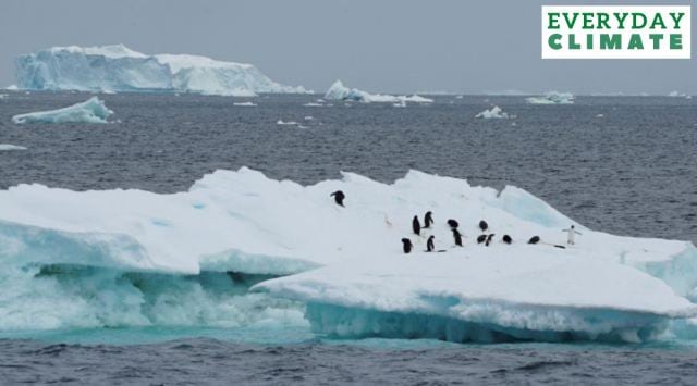 Penguins are seen on an iceberg as scientists investigate the impact of climate change on Antarctica's penguin colonies, on the northern side of the Antarctic peninsula, Antarctica. (Reuters Photo: Natalie Thomas, File)