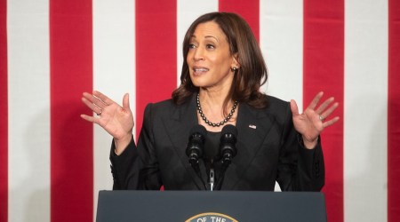 Kamala Harris, Kamala Harris word games, Kamala Harris board games, Kamala Harris puzzles, Kamala Harris Wordle, indian express news