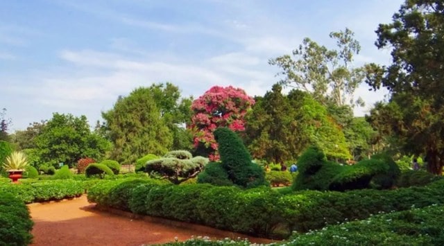 Deputy director of horticulture (Lalbagh) Kusuma G told The Indian Express that the order was passed more than two years ago.
(File)