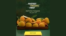 CRED Members Can Now Enjoy Alphonso Mangoes Straight From Konkan Farmers