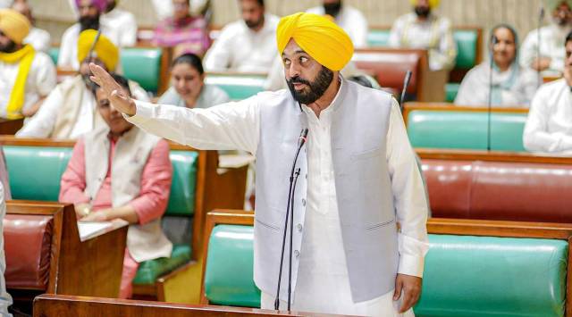 Punjab Chief Minister Bhagwant Mann. (PTI Photo/File)