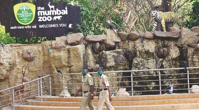 The Byculla Zoo is going through Rs 400 crore revamp. (File)