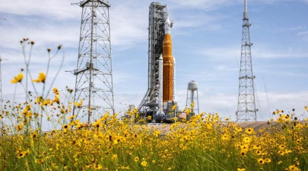 The NASA SLS rocket system and Orion spacecraft are pictured here, frame by wildlowers.