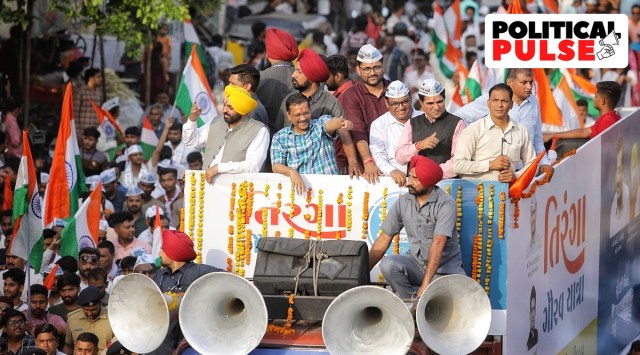AAP