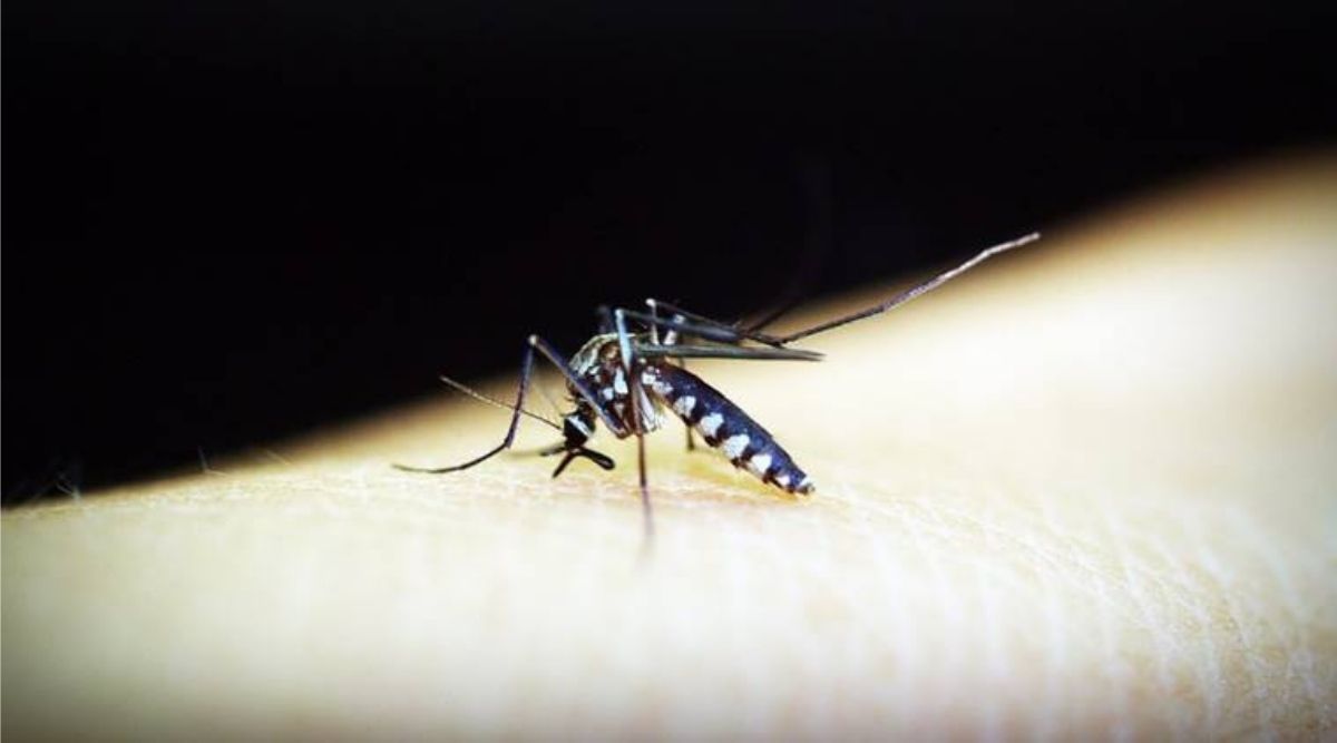 La Región de Asia Sudoriental de la OMS reafirma su compromiso de eliminar la malaria para 2030