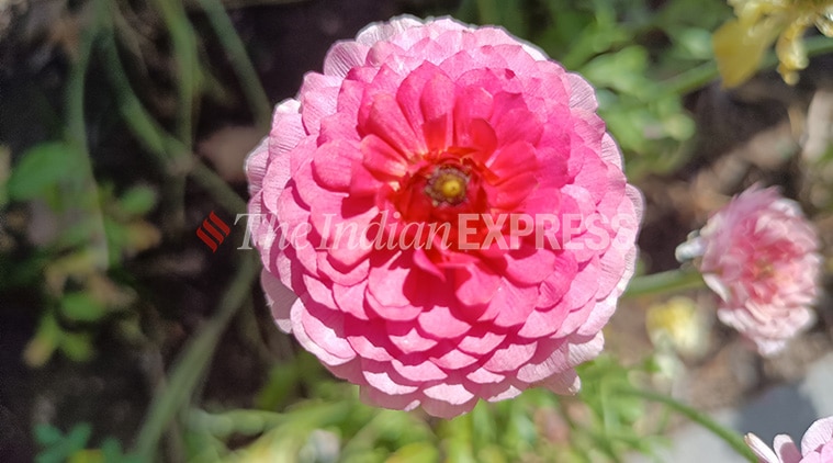 Realme 9 5G review, Realme 9 5G price in India, Realme 9 5G specifications