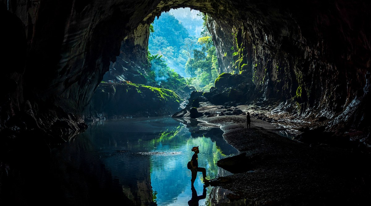 illigal loggers, loggers, loggers vietnam
