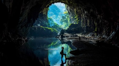 illigal loggers, loggers, loggers vietnam