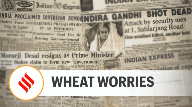 Most field reports point to yields being about a fifth lower compared to last year even in Punjab and Haryana, where farmers mostly plant wheat before November 15.