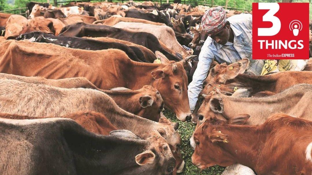 2 ‘cattle Smugglers’ Dead In Assam, Amway Case, Punjab-Haryana Power ...