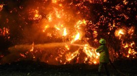 Chennai Perungudi landfill fire news, Perungudi fire, chennai Perungudi landfill fire, Chennai latest news today, Chennai news, Perungudi fire news, Perungudi dumpyard, Indian Express