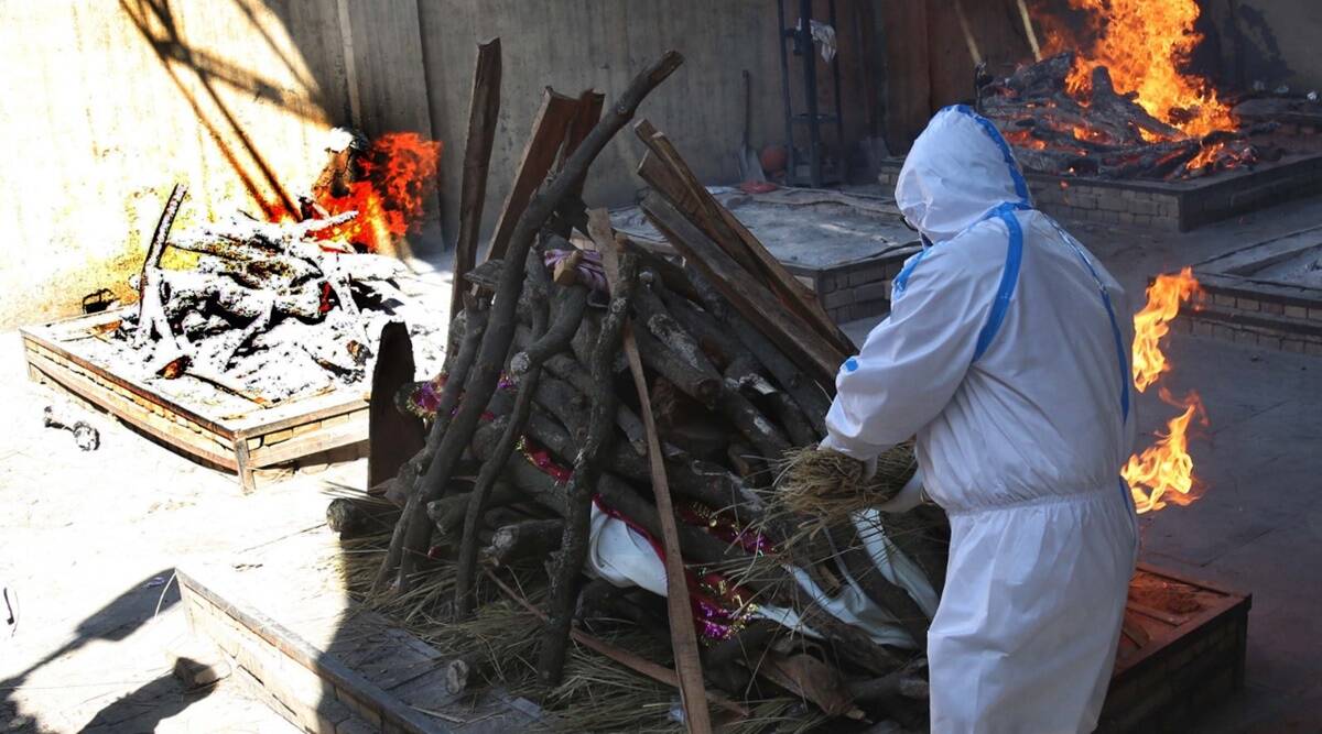 Covid deaths, Covid deaths news, Covid news, COVID-19, Covid pandemic, Covid data, Covid death data, Indian express, Opinion, Editorial, Current Affairs