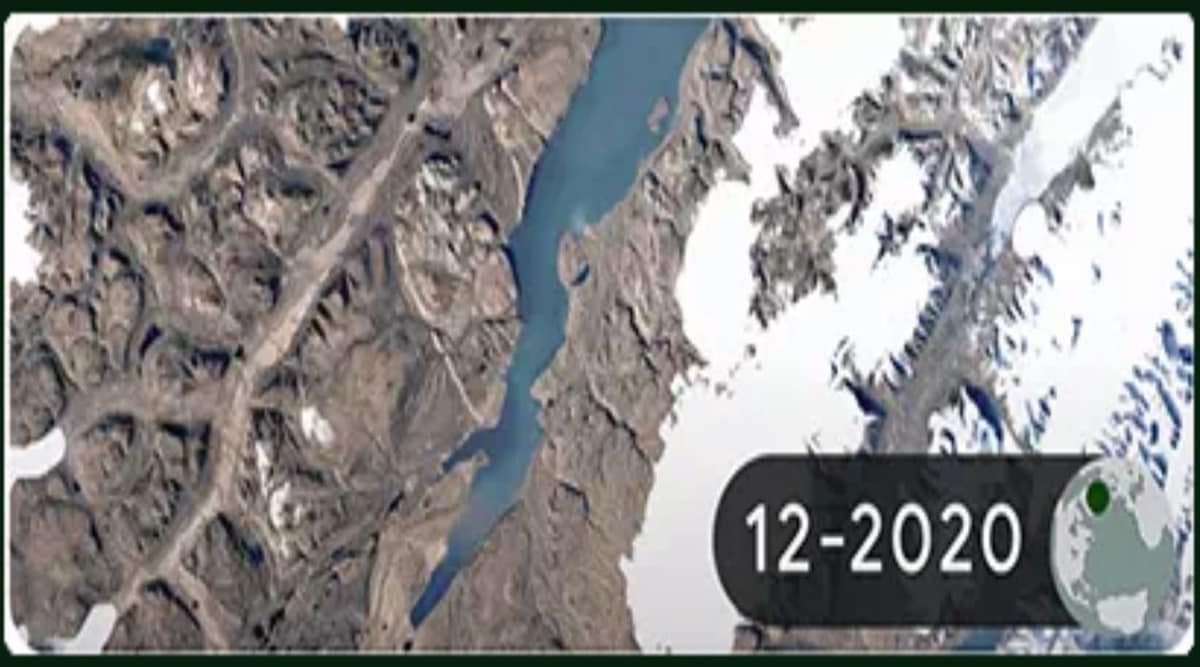 Earth Day 2022: Google Doodle today.