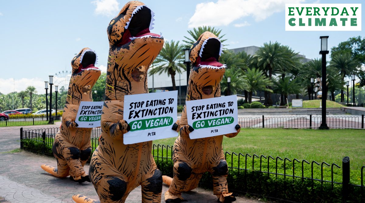 World Earth Day 2022| Earth Day 2022