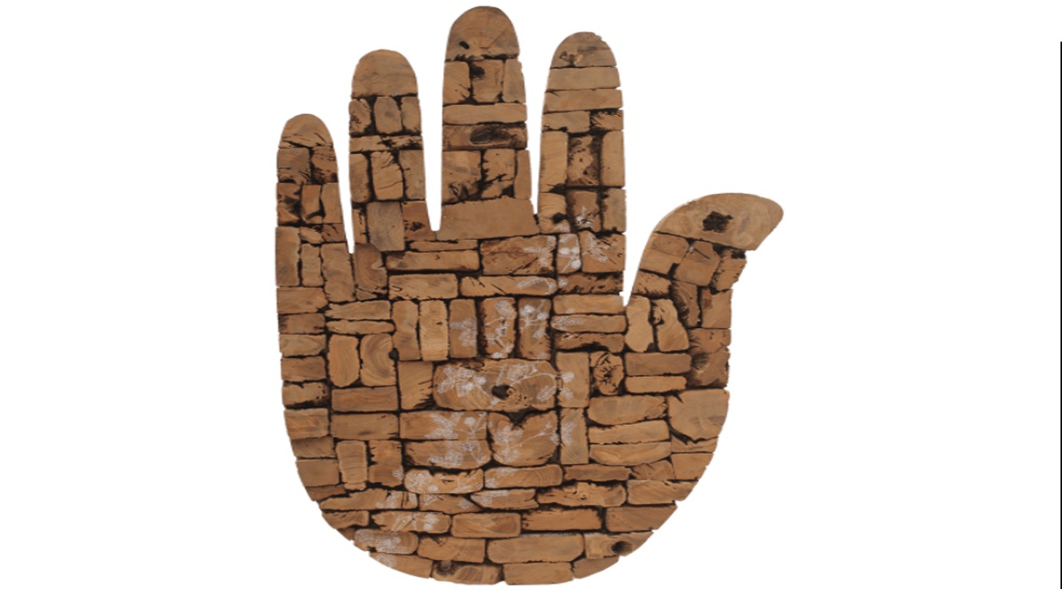 exhibitors, exhibition, India Art Fair, South Asian art market, international gallery, Okhla, physical market, physical exhibition, distributors, indian express news