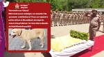 UP POlice bids farewell to sniffer dog, Uttar Pradesh Police sniffer dog farewell, Vicon sniffer dog farewell UP police, Police dogs funeral, Indian Express