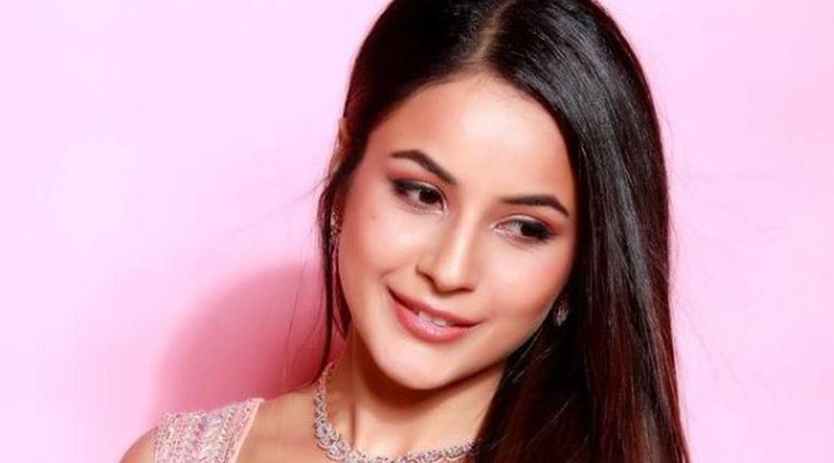 shehnaaz gill