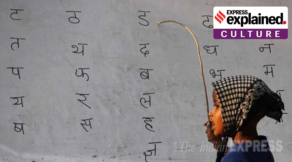 The 2011 linguistic census accounts for 121 mother tongues, including 22 languages listed in the 8th Schedule of the Constitution. (File)