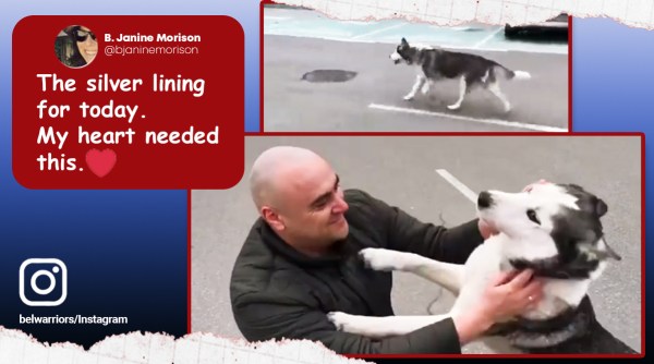 ukraine, russian ukraine war, bucha killings, bucha pets reunited, ukraine pet rescue by army, husky reunited with bucha owners, indian express