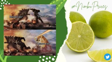 lemon prices, lemon prices memes, nimbu, nimbu memes, nimbu price hike, fuel price hike memes, price hike memes, indian express