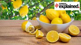 lemons price no alt set