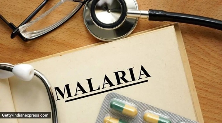 world malaria day 2022