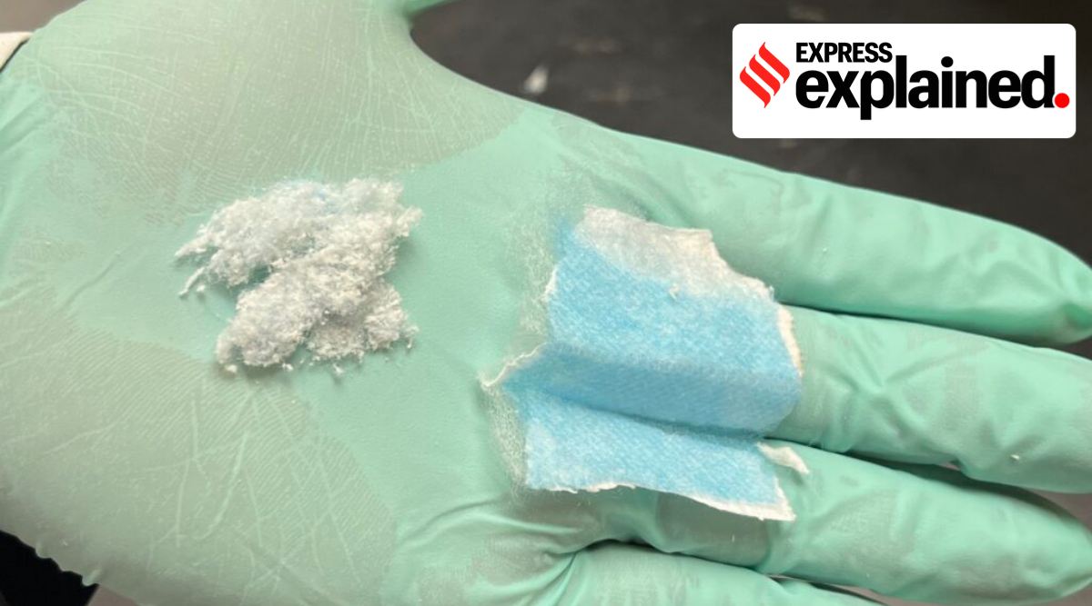 A piece of a disposable face mask and a pile of tiny mask fibres. Washington State University