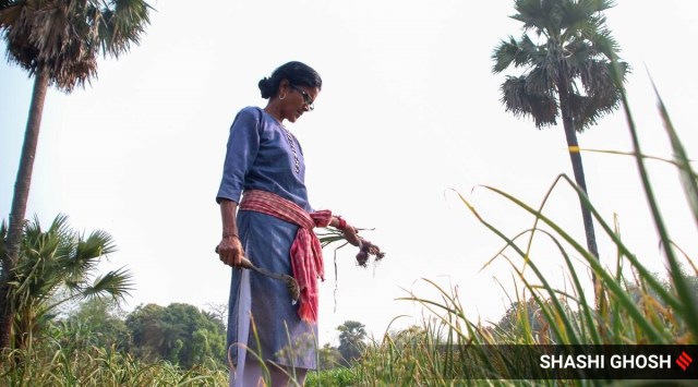 Mousumi Biswas, 48, is not only one of the first woman farmers in Murshidabad but is also an inspiration for several women in the district and across West Bengal. (Express Photo by Shashi Ghosh)