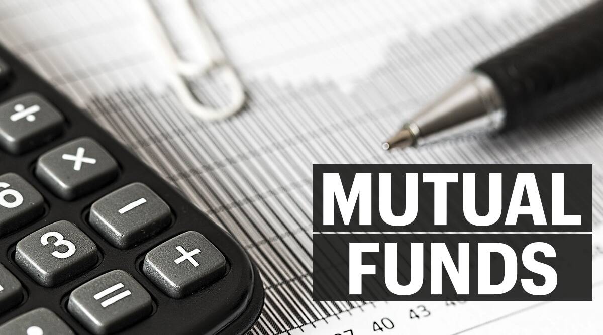 Equity Mutual funds, mutual funds, stock markets, Volatile stock markets, Foreign Portfolio Investors, AMFI, Association of Mutual of Funds of India, Domestic stock markets, Business news, Indian express business news, Indian express, Indian express news, Current Affairs