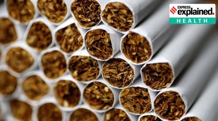 Express Exclusive, Express Health, US, US Food and Drug Administration, FDA, menthol cigarettes, menthol cigarettes ban, flavoured cigars, world news, Explained, Indian Express Explained, Opinion, Current Affairs