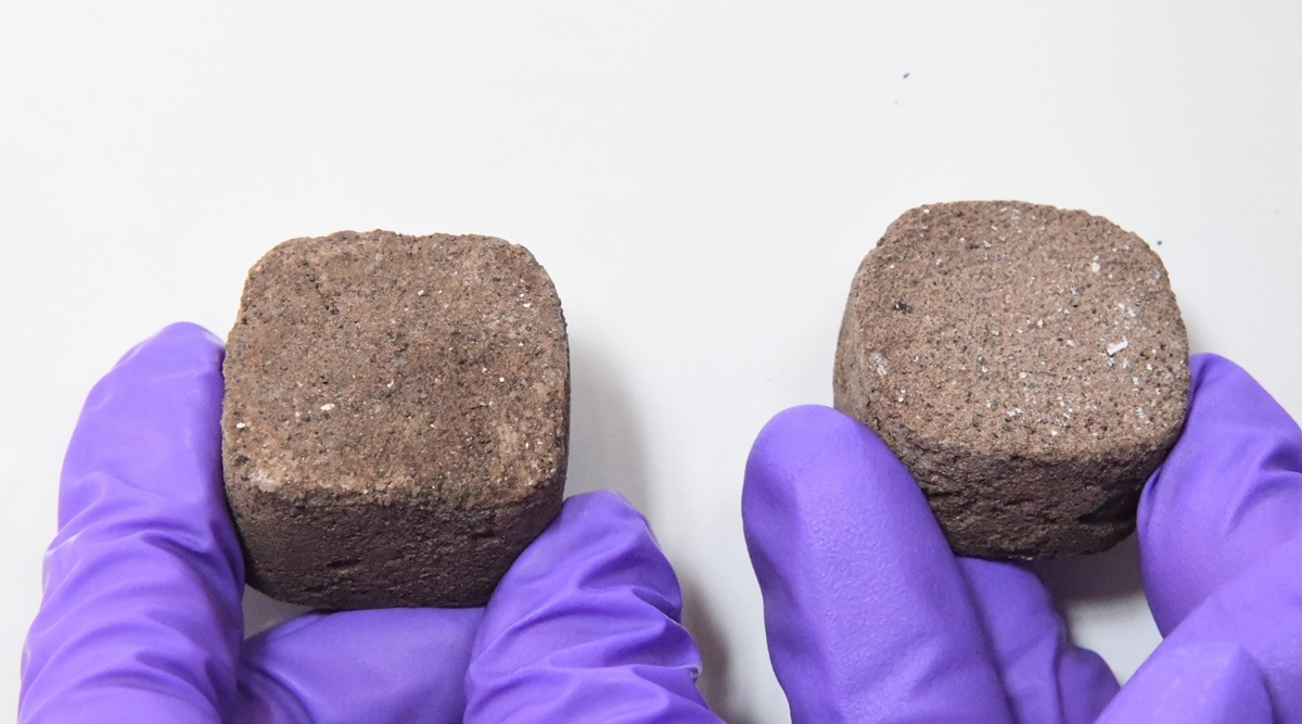 These “space bricks” can be used to construct building-like structures on Mars that could facilitate human settlement on the red planet. (Express photo)
