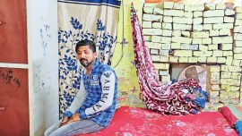 Lucknow, Lucknow news, Uttar Pradesh, Uttar Pradesh news, mauled by stray dogs, Indian Express, India news, current affairs, Indian Express News Service, Express News Service, Express News, Indian Express India News